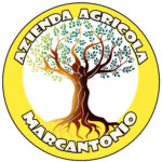 Logo azienda circolare